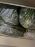 聽(tīng)蔬 有機(jī)芝麻菜 有機(jī)認(rèn)證現(xiàn)摘發(fā) 寬葉 15天內(nèi)幼葉嫩葉沙拉食材無(wú)農(nóng)殘 芝麻菜 50g 曬單實(shí)拍圖