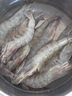 鮮馳蝦 國產(chǎn)青島大蝦 青蝦白蝦海蝦基圍蝦冷凍生鮮 蝦類 海鮮水產(chǎn) 氣凍大蝦 3斤(凈重)  15-18cm【單只凍 特大蝦】 曬單實拍圖