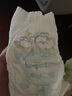 幫寶適品牌直供安心品質(zhì) 清新幫拉拉褲嬰兒試用 尿不濕尿褲尿片成長(cháng)褲 拉拉褲XL24片(12-17kg) 曬單實(shí)拍圖