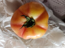 諸氏橙品【有機】西紅柿 虎眼番茄 沙瓣鐵皮西紅柿子新鮮時令孕婦水果整箱 【有機虎眼番茄】 1kg 嘗鮮 曬單實拍圖