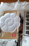 得力（deli）國畫(huà)顏料初學(xué)者套裝小學(xué)生毛筆兒童成人中國畫(huà)顏料全套24色專(zhuān)業(yè)中高級水墨畫(huà)工具用品美術(shù)生專(zhuān)用 12色進(jìn)階推薦套裝-入門(mén)13件套 曬單實(shí)拍圖
