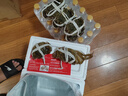 【活蟹】漁家?guī)煾荡箝l蟹全母3.3-3.6兩8只去繩足重鮮活螃蟹現(xiàn)貨生鮮水產(chǎn)實物中秋禮盒 曬單實拍圖