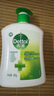 滴露（Dettol）洗手液松木500g瓶 健康抑菌消毒非補充裝 兒童家庭用清爽去油 曬單實拍圖