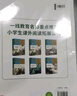 暑假預(yù)復(fù)習(xí)一本通小升初 小學(xué)六年級(jí)升初中語(yǔ)文數(shù)學(xué)英語(yǔ)三合一30天暑假打卡計(jì)劃暑假作業(yè)銜接教材專(zhuān)項(xiàng)訓(xùn)練習(xí)題冊(cè) 贈(zèng)28天晨讀必背核心知識(shí)（全2冊(cè)） 曬單實(shí)拍圖