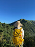 艾王新款專業(yè)戶外登山雙肩背包40升大容量男女輕便量化徒步旅行防潑水 黃色 (第二代8109B) 35+5L（背負(fù)系統(tǒng)+送防雨罩） 曬單實(shí)拍圖