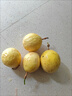 優(yōu)質(zhì)黃金百香果 欽蜜9號(hào)酸酸甜甜生吃泡水喝匯果 10粒小果（35g-45g） 曬單實(shí)拍圖