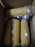京鮮生東北黃糯玉米棒200g×8根 甜黏玉米 多種包裝隨機(jī)發(fā)貨 源頭直發(fā) 曬單實(shí)拍圖