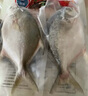 翔泰海南二去金鯧魚700g/2條  去鰓去內(nèi)臟 燒烤 生鮮魚類  海鮮水產(chǎn) 曬單實拍圖