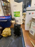 潮之夢黑曜石擺件十二12生肖屬鼠牛虎兔龍蛇馬羊猴雞狗豬擺件三六合水晶 生肖鼠-大號【送國檢證書】 曬單實拍圖