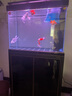 森森（SUNSUN）大型魚缸底過濾水族箱客廳家用落地玻璃生態(tài)金魚缸 超白款升級底濾 0.8米長35cm寬（黑白可選） 曬單實拍圖