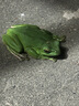 畢亞茲 蘋(píng)果iphone16/15/iPad Pro耳機(jī)轉(zhuǎn)接頭 Type-C轉(zhuǎn)3.5mm耳機(jī)音頻轉(zhuǎn)換器帶DAC解碼 USB-C轉(zhuǎn)華為手機(jī) 曬單實(shí)拍圖