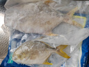 翔泰 海南金鯧魚凈重900g 2條裝  魚類生鮮 燒烤 火鍋食材 海鮮水產(chǎn) 曬單實拍圖