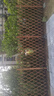 戶(hù)外柵欄伸縮插地圍欄花園護欄立柱圍欄網(wǎng)格爬藤花架戶(hù)外庭院籬笆 插地】刷油加厚高180cm-可拉2.2m 曬單實(shí)拍圖