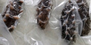 久年大連即食海參500g8-12只 遼刺參京東自營 固形物超85% 海鮮盒裝 曬單實拍圖