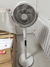 東芝（TOSHIBA）【花信風(fēng)SE】電風(fēng)扇空氣循環(huán)扇0耗材除醛直流變頻電風(fēng)扇靜音臥室超靜音一級能效F-DSC650CN(W) 曬單實(shí)拍圖