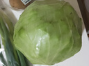 三寶白菜（大娃娃菜）約650g 曬單實(shí)拍圖