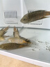 寵翰魚(yú)食小型魚(yú)飼料孔雀魚(yú)鳳尾魚(yú)紅綠燈斗魚(yú)金魚(yú)觀賞魚(yú)熱帶魚(yú)魚(yú)糧 曬單實(shí)拍圖