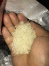 廣東江門臺山特產(chǎn)大米象牙粘30斤晚稻細(xì)長無拋光農(nóng)家絲苗米15kg 曬單實(shí)拍圖