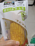 北緯47°水果玉米4.4斤(220g*10根) 開袋即食鮮甜玉米棒真空包裝 低脂低GI 曬單實拍圖