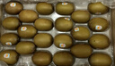 佳沛（zespri）新西蘭 新果季 陽(yáng)光金奇異果33粒原箱單果重約101-114g 獼猴桃 曬單實(shí)拍圖