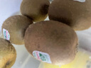 佳沛（zespri）綠奇異果 優(yōu)選大果12粒單果約113-135g  水果禮盒 獼猴桃 曬單實(shí)拍圖