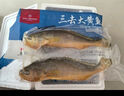 1號(hào)會(huì)員店【山姆同廠】冷凍寧德三去大黃魚(yú) 黃花魚(yú) 凈重700g/2條裝 水產(chǎn)魚(yú) 曬單實(shí)拍圖