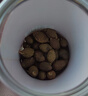 南同四海南京同仁堂平陰玫瑰花搭墨紅玫瑰花茶特玫瑰花茶級大朵玫瑰花茶包 曬單實(shí)拍圖
