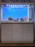 森森（SUNSUN）大型魚(yú)缸底過(guò)濾水族箱客廳家用落地玻璃生態(tài)金魚(yú)缸 【實(shí)時(shí)溫顯+燈控】珍珠白 1.2米長(zhǎng)35cm寬 曬單實(shí)拍圖