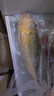鮮京采 冷凍三去黃花魚(yú)(寧德大黃魚(yú))1700g (5條裝)  禮盒 生鮮海魚(yú)  曬單實(shí)拍圖