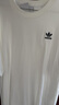 阿迪達斯 （adidas）T恤男 2025夏季新款運動透氣上衣純棉舒適休閑時尚圓領短袖男 白色/純棉透氣/三葉草/主推款 L 曬單實拍圖