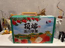 洛川蘋果陜西延安紅富士時(shí)令蘋果水果禮盒禮品蘋果生鮮新鮮脆甜整箱好吃 12枚75mm優(yōu)選果 禮盒裝凈4.8斤 曬單實(shí)拍圖
