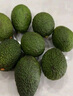 京鮮生 秘魯進(jìn)口牛油果 大果6粒裝(非即食)單果重130g起 生鮮水果 曬單實(shí)拍圖