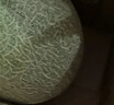 京鮮生 哈密瓜西州蜜25號 凈重6-7斤2-3粒裝 源頭直發(fā)包郵 曬單實(shí)拍圖