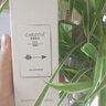 奕香鮮薄荷香水薄荷味小眾香水清新留香冷調中性男女淡香NO.629 NO.629（鮮薄荷） 25ml 曬單實拍圖