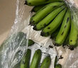高山精品甜蕉現(xiàn)摘新鮮水果香蕉孕婦寶寶輔食搭配丫丫生鮮特產(chǎn) 2斤帶箱裝【青蕉發(fā)貨】 曬單實(shí)拍圖