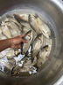 東強(qiáng)釣魚(yú)小藥強(qiáng)效誘魚(yú)添加劑黑坑野釣鯽魚(yú)鯉魚(yú)草青魚(yú)專用餌料窩料大全 秘殺通【野釣黑坑四季通用】 曬單實(shí)拍圖