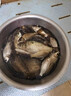 魚(yú)竿支架釣魚(yú)竿炮臺自動(dòng)鎖桿地插撐桿支架手桿簡(jiǎn)易工具用品大全 0.24m 自鎖地插支架 曬單實(shí)拍圖