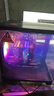 華碩（ASUS）品牌15代酷睿i5 12600KF/14600/14700KF/4060Ti/5060/5060ti/5070三角洲游戲臺式電腦主機組裝整機 i5-14600KF+5060Ti丨32G 曬單實(shí)拍圖