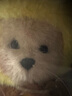 莉娜熊（TeddyTales）玩偶毛絨掛件玩具泰迪手作熊公仔娃娃送禮送人七夕情人節(jié)禮物 小狐貍奶茶 15cm掛偶 曬單實拍圖
