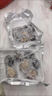 【特大號】鮮活大鮑魚新鮮冷凍個大鮮活海捕超大鮑魚非活體 活凍大鮑魚12-14頭 曬單實拍圖