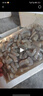 奈寵魚食冷凍麥穗魚河蝦泥鰍段大蝦仁新鮮速凍觀賞魚龍魚烏龜通用飼料 【冷凍麥穗魚】小號(hào)/1kg（2斤) 曬單實(shí)拍圖