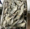 萬景北海鮮凍國產(chǎn)白蝦巨無霸 單凍無冰凈重3斤/盒 30-45只  燒烤海鮮 曬單實拍圖