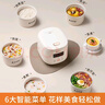 九陽（Joyoung）電飯煲電飯鍋迷你家用不粘小容量1-2-3人快煮飯多功能鍋微壓預約2L升蒸飯器小型鍋 【瓷晶陶釜內(nèi)膽】F-20FZ125 2L 曬單實拍圖