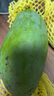 壹萌果蔬金煌芒芒果 當(dāng)季現(xiàn)摘廣西大芒果新鮮水果青皮芒果整箱送禮 5斤老樹果【單果300g+】 凈4.5斤 曬單實(shí)拍圖