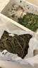 農(nóng)家長(zhǎng)壽菜現(xiàn)挖馬蜂菜野生馬齒莧新鮮馬齒菜五行草螞蚱菜新鮮現(xiàn)挖 四斤 曬單實(shí)拍圖
