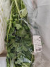 帶根香菜100g 曬單實(shí)拍圖