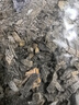 元瀧正宗日曬干海帶絲昆布絲無沙干貨500g牛肉面絲涼拌菜煲湯火鍋食材 日曬海帶絲500克 曬單實(shí)拍圖