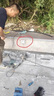 戶(hù)外防水插座 防爆防暴雨插座 10A 16A明暗裝 草地露天浴室家用 10A 防水插座 曬單實(shí)拍圖