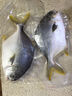 翔泰海南深海金鯧魚700g 2條 燒烤 火鍋 生鮮魚類 BAP認證 海鮮水產 曬單實拍圖