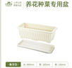 史丹利陽(yáng)臺種菜盆專(zhuān)用家用花盆長(cháng)方形塑料蔬果盆栽象牙白【長(cháng)400mm】 曬單實(shí)拍圖